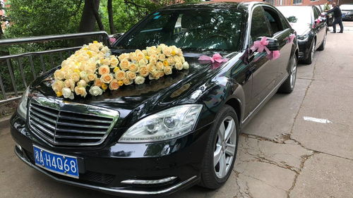 河南租車報(bào)價(jià)、廠家資源與二手車經(jīng)銷市場概覽